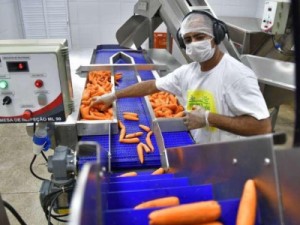 Agricultores familiares recebem atenção especial durante a pandemia