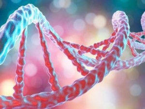 Mapeamento genético revela novas origens de escravizados no Brasil