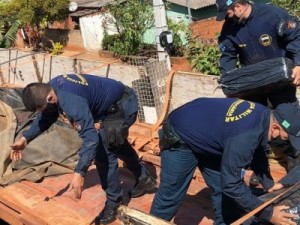 PRF apreende quase 4 toneladas de drogas, munições e armas, destino RJ