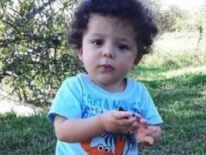 Bebê de 1 ano morre após ser picado por escorpião no ES