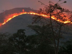 Não é só o Pantanal: incêndios florestais pelo mundo são os maiores 'em escala e em emissões de CO2' em 18 anos