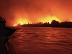 Famílias ribeirinhas são resgatadas de incêndio no Pantanal de MS