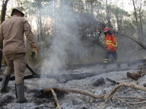 Fogo que destruiu 25 mil hectares no Pantanal de MS começou em grandes fazendas, aponta investigação da PF