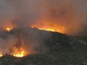 Incêndio destrói Parque Nacional Serra do Cipó, na região central de Minas Gerais