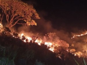 Serra do Cipó, em Minas Gerais, já pega fogo há seis dias