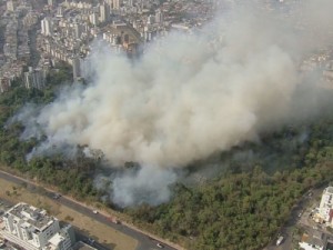 Pelo 2º dia, incêndio destrói Parque Municipal Ursulina de Andrade Mello, no Castelo, em BH