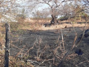 Iguatu: Bombeiros são transferidos de helicóptero após terem partes do corpo queimadas em incêndio