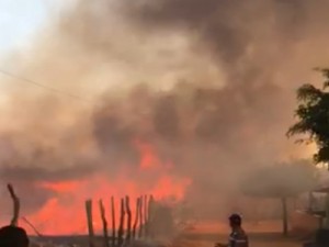 Incêndio de grandes proporções destrói área de mata na zona rural de Ipaumirim, interior do Ceará