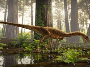 Anunciada descoberta de nova espécie de antepassado do tiranossauro rex em Agudo