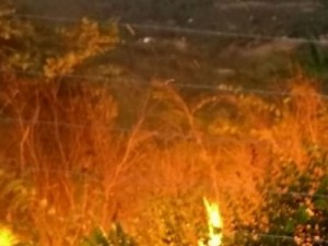 Incêndio destrói área de vegetação no Sítio Santa Cruz em Barbalha