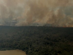 Brasil registra mais de 200 mil focos de queimadas em 2020; número é o maior na década