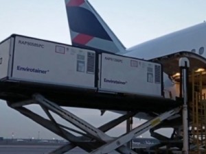 Voo com 5,4 mil litros de insumo para produção de vacinas contra a Covid-19 chega a SP