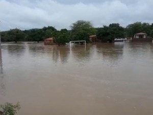 Veja registros de chuvas nos municípios do Cariri