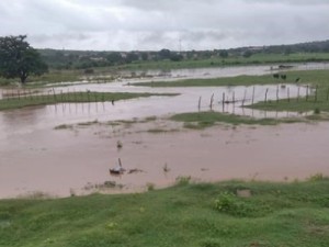 Chuva de 135 mm derruba muro, árvore, e Rio Salamanca transborda em Barbalha