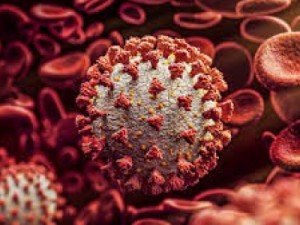 COVID-19: 38 novos casos confirmados em 24hs, em Barbalha