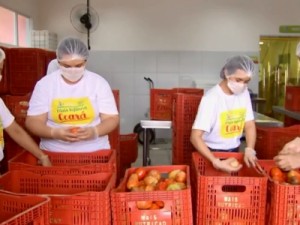 Barbalha tem 10 OSC contempladas no Mais Nutrição Ceará