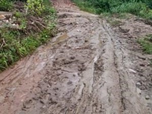Chuva acima de 100 mm causa estragos na zona rural de Barbalha