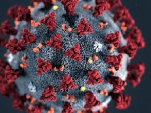 Pandemia: Crato já tem 135 mortes por Covid-19