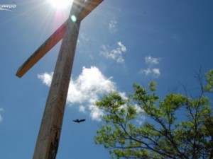 O Imponente Cruzeiro do Caldas tem uma bela história, veja
