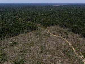 Desmatamento recorde na Amazônia: 2021 teve pior abril da série histórica, mostra Inpe