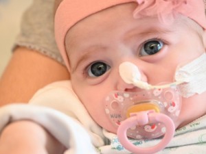 Bebê na Espanha recebe transplante de coração de doador com parada cardíaca e tipo sanguíneo incompatível