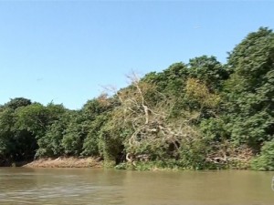 Militar do Exército, natural do RJ, morre durante treinamento em rio do Pantanal de MS