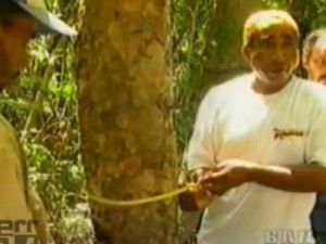 Barbalha perde o ex-capitão do pau da bandeira de Santo Antônio