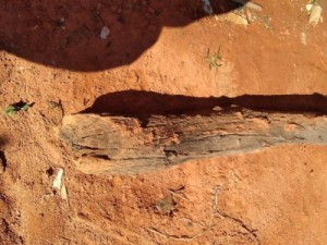 Homem é preso suspeito de matar padrasto a pauladas na frente dos filhos em Nazária