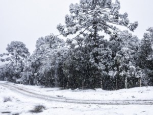 Onda de frio no Brasil deve ser uma das mais intensas do século
