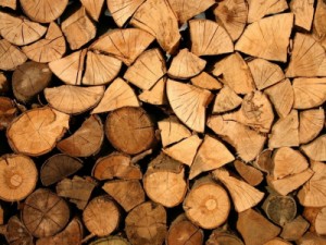 Exploração madeireira na Amazônia atinge 464 mil hectares em 12 meses