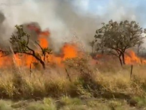 Incêndio na Chapada dos Veadeiros completa 1 semana e consome área equivalente a 18 mil campos de futebol