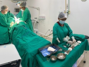 ”Dia do Médico” é comemorado com cirurgias de reconstrução mamária gratuitas no Hospital Santo Antônio