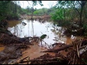 Município de Parambu registra chuva de 114 mm na madrugada deste domingo, 7