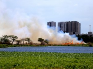 Bombeiros controlam incêndio no Parque do Cocó, chamas consumiram cerca de 20 hectares