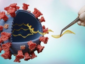 Covid: o que se sabe sobre nova variante detectada na África do Sul