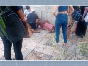 Mulher dá à luz gêmeos em calçada do Cabo Branco, em João Pessoa