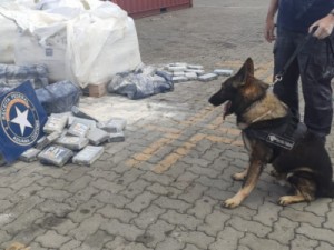 Receita apreende cocaína avaliada em R$ 250 milhões em porto de Fortaleza