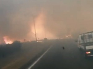 Incêndios de grandes proporções fazem governo do Uruguai declarar emergência climática