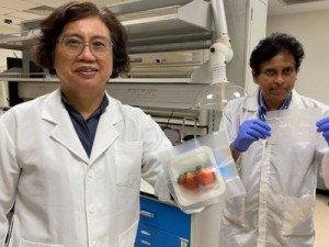 Cientistas criam embalagens de alimentos biodegradáveis e capazes de matar bactérias nocivas