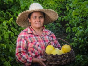 Agricultores de 113 cidades têm até dia 20 para pagar boleto de adesão ao Garantia Safra