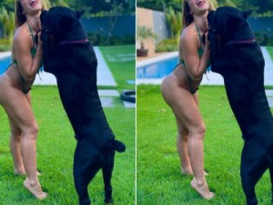 Paolla Oliveira "dança" de biquíni com seu cachorro: "Parceirão"