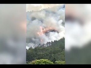 Avião com 132 passageiros cai no sudoeste da China