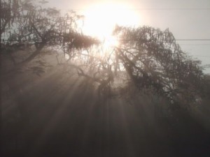 Tempo nesta segunda-feira, dia amanheceu com 17º na zona rural de Barbalha