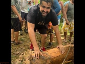Barbalha-CE: Angico com mais de 20 metros está cortado para o Pau da Bandeira de Santo Antônio