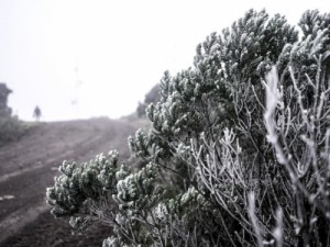 Cidade de SC registra neve e temperatura mais baixa do Brasil em 2022, diz Inmet