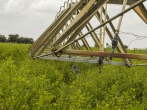 Em 15 mil ações contra a Enel, Federação busca R$ 17 milhões para agricultores no Ceará