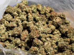 RAIO prende dupla que tentou se desfazer de droga em Barbalha