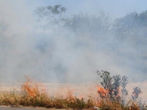 Incêndios em vegetação: Corpo de Bombeiros alerta população para evitar queima no Cariri