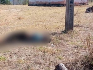 Aurora-CE: Homem encontrado morto em propriedade particular, eletrocutado