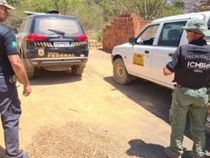 Polícia Federal flagra desmatamento ilegal em área de proteção ambiental no Ceará